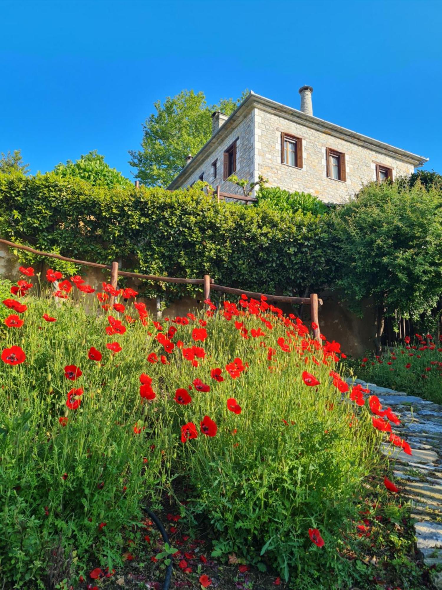Amanita Boutique Hotel Τσαγκαράδα Εξωτερικό φωτογραφία