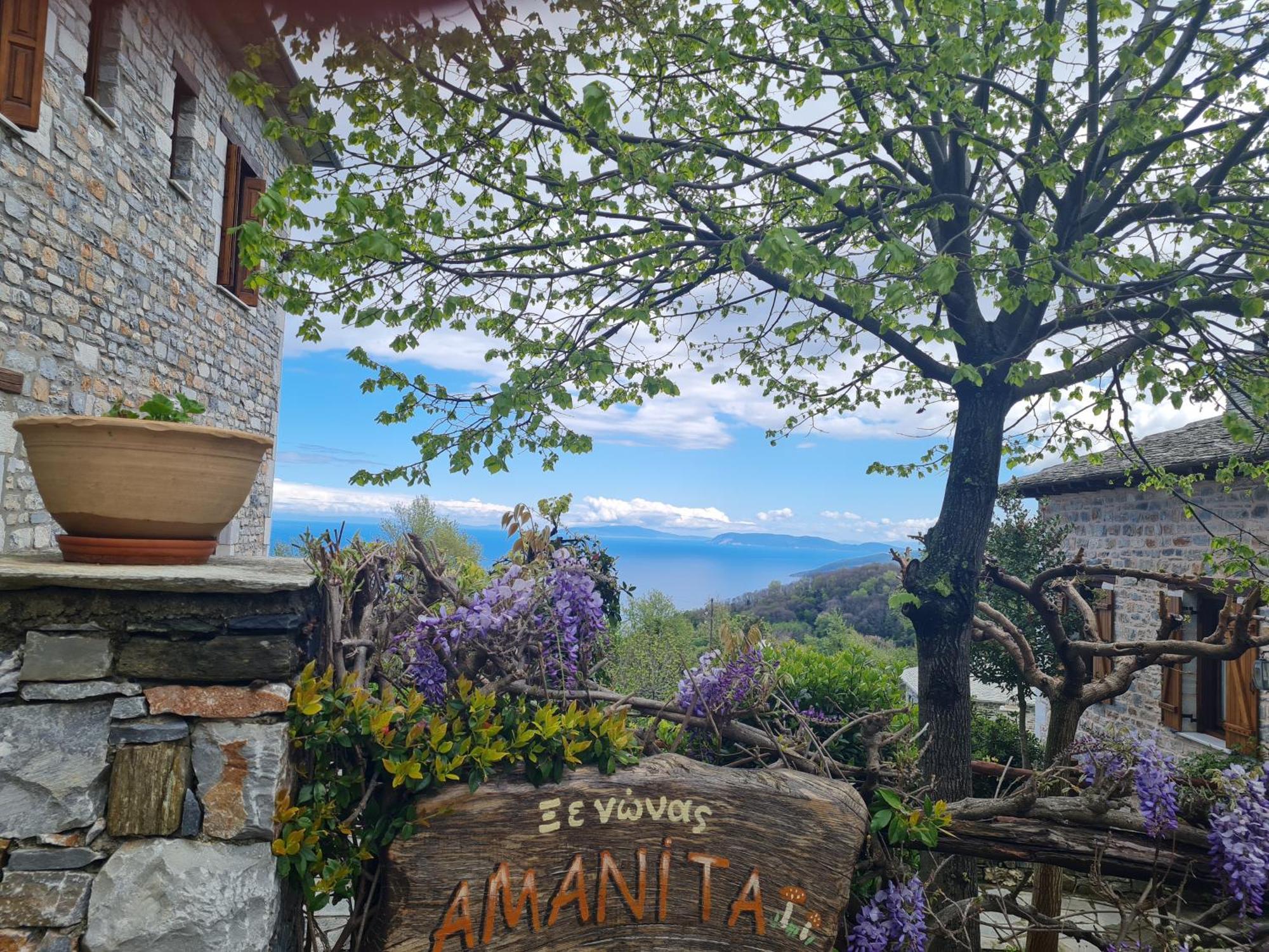 Amanita Boutique Hotel Τσαγκαράδα Εξωτερικό φωτογραφία