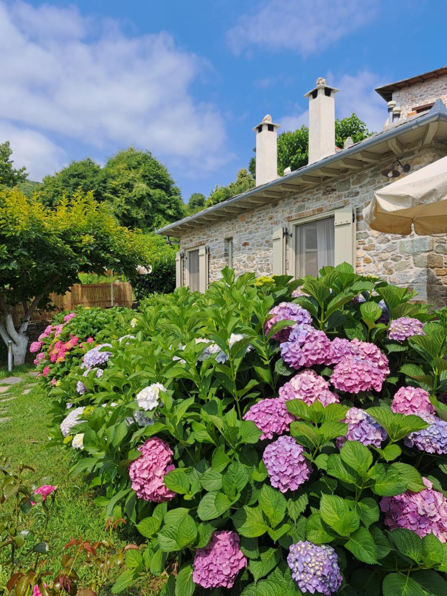 Amanita Boutique Hotel Τσαγκαράδα Εξωτερικό φωτογραφία