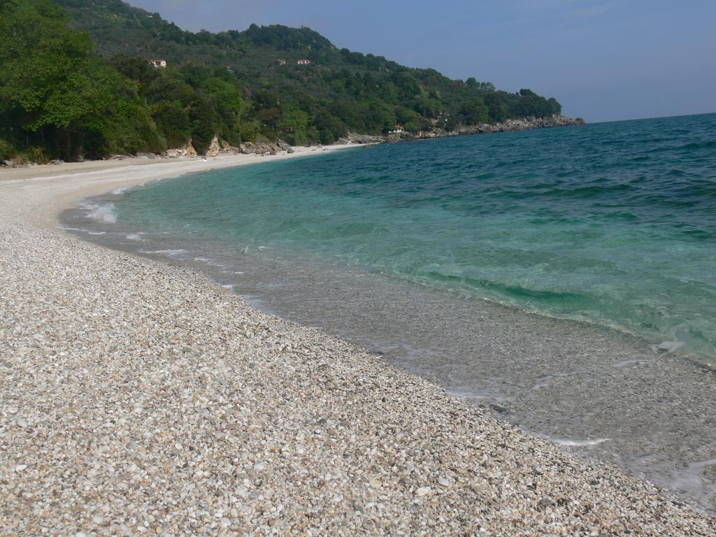 Amanita Boutique Hotel Τσαγκαράδα Εξωτερικό φωτογραφία